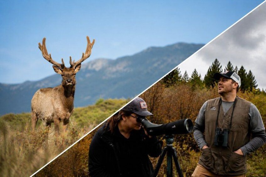 A deer with large antlers in a mountainous area, a person using binoculars, and another person standing nearby. 1