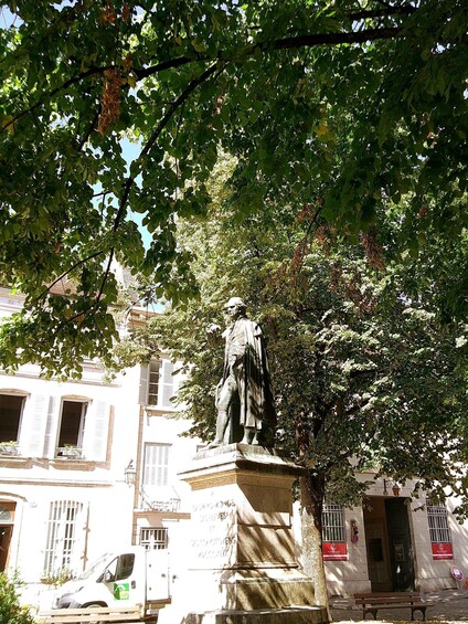 Picture 5 for Activity Guided walk in Beaune with wine tasting and Burgundy food sampling 3