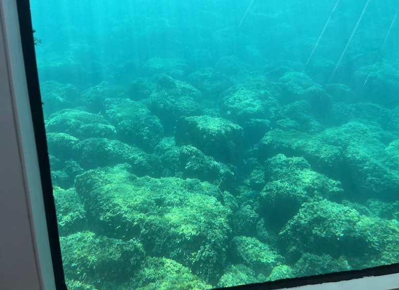 Picture 11 for Activity Poreč: Semi-Submarine Ride with Underwater Views 2