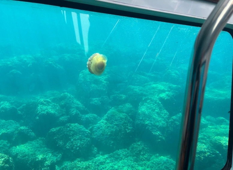 Picture 12 for Activity Poreč: Semi-Submarine Ride with Underwater Views 5