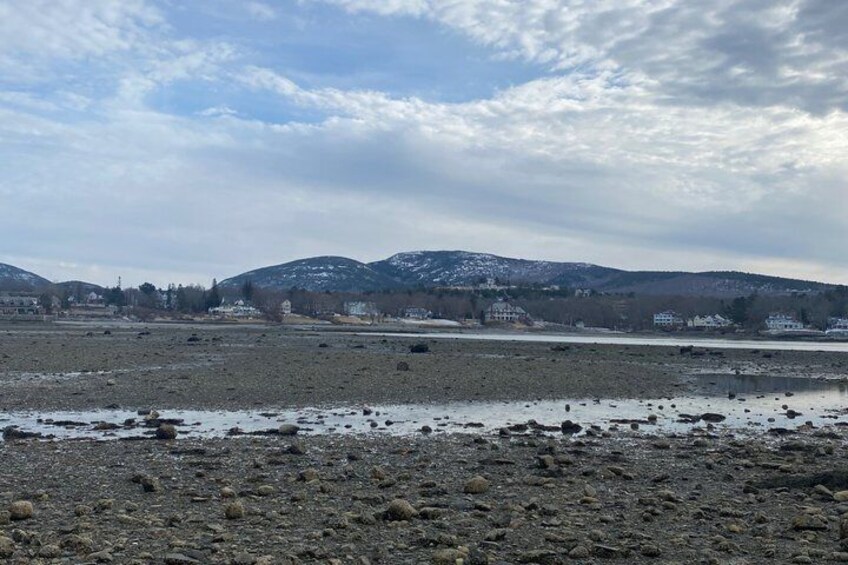 Private Van Tour of MDI 5