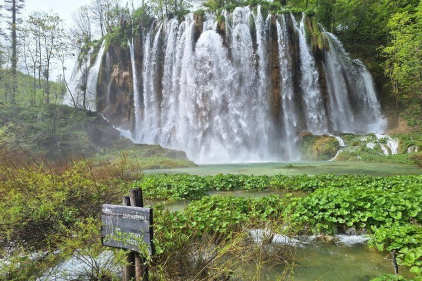 Una cascada con un cartel que indica 'SILVER FALLS' y 'NEWPORT'. 1