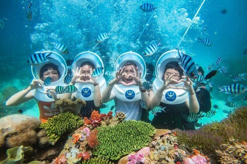 Vier Personen tauchen mit Aquaristik-Ausrüstung unter Wasser, umgeben von Meereslebewesen und Korallenriffen. 5