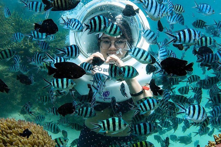 Eine Person in einem Tauchanzug, umgeben von Fischen. 3