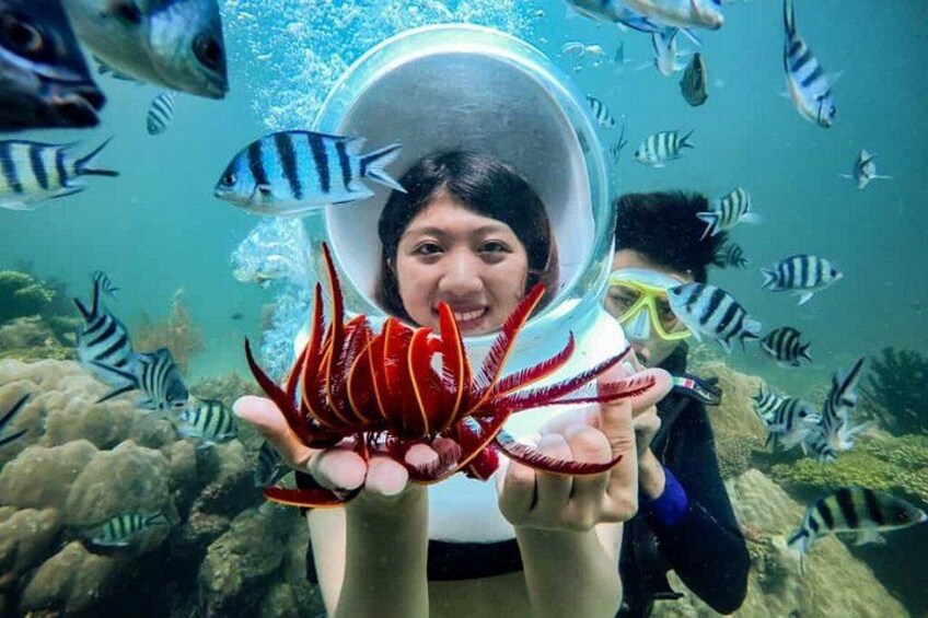 Eine Person unter Wasser, die eine Seeanemone hält, umgeben von Fischen. 1
