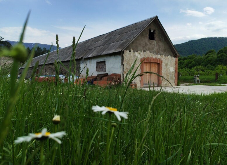 A rustic barn with a sloped roof, surrounded by lush green grass and wildflowers. 2