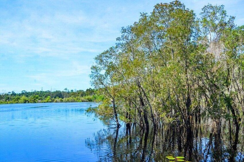 A calm river with trees reflecting on the water. 5