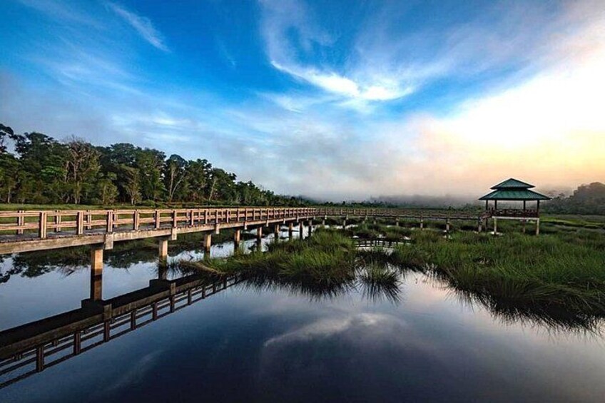 A wooden bridge over a calm water body, surrounded by lush greenery and a gazebo. 4