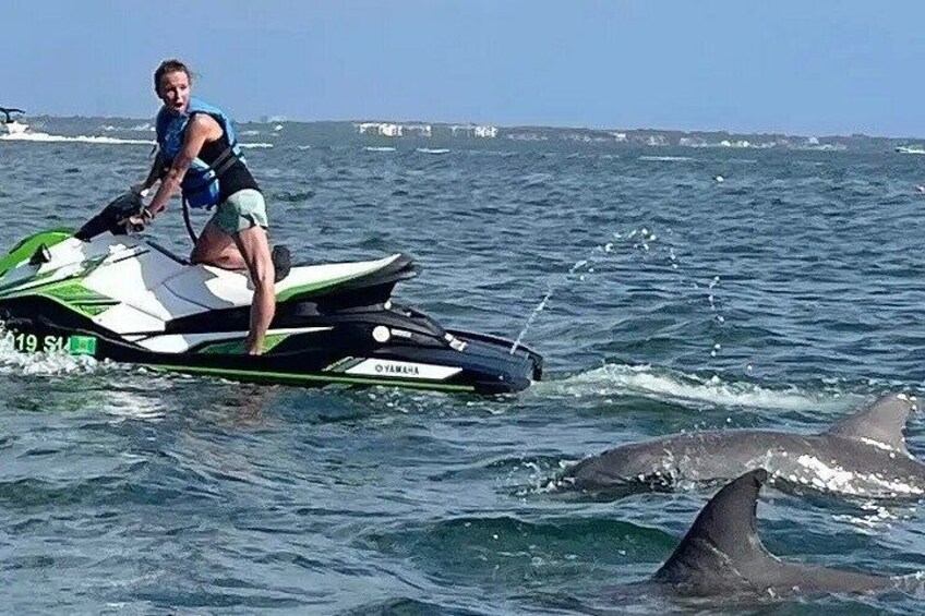 A person on a jet ski with a shark in the water. 1