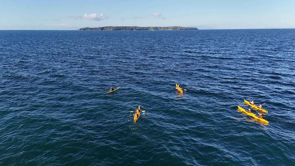 A group of people kayaking on a calm sea with a distant island. 4