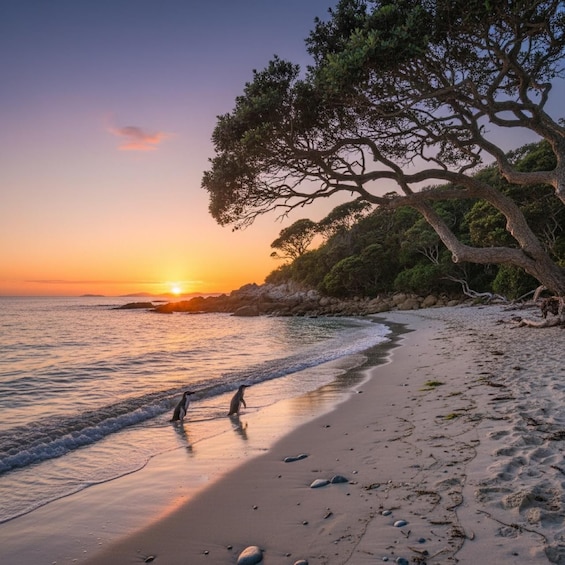 A beach with a sunset, waves, and a dog walking along the shore. 2