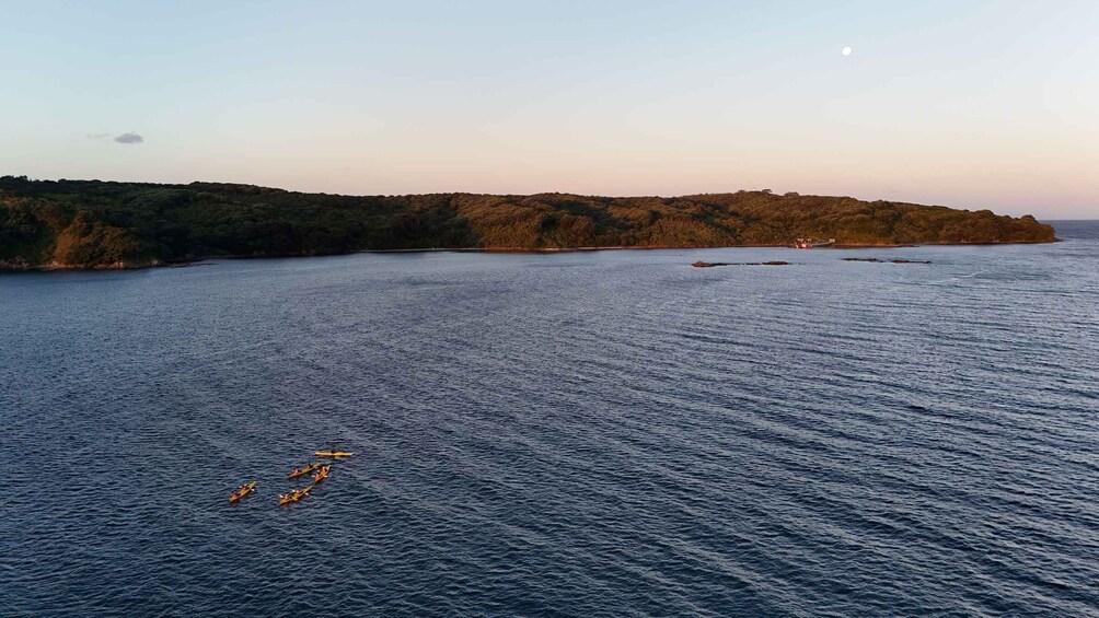 A calm sea with kayaks in the foreground and a forested island in the background. 5