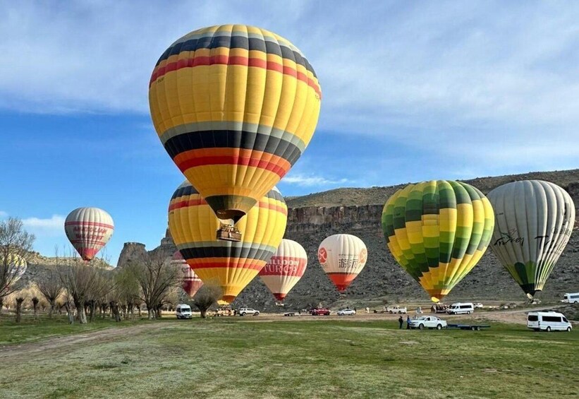 A field of hot air balloons with various designs and patterns, parked on a grassy area with a mountainous backdrop. 2