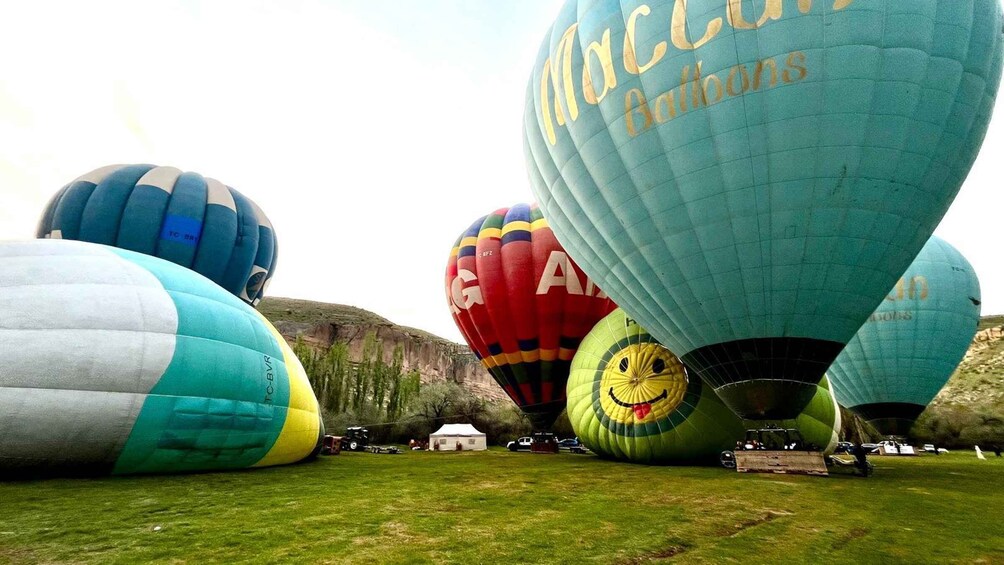 A field of hot air balloons with various colors and patterns, including one with a smiley face, parked on grass with a mountainous backdrop. 1