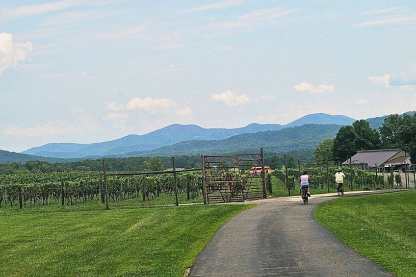 Un vignoble avec un chemin pavé, une porte et des montagnes en arrière-plan. 2