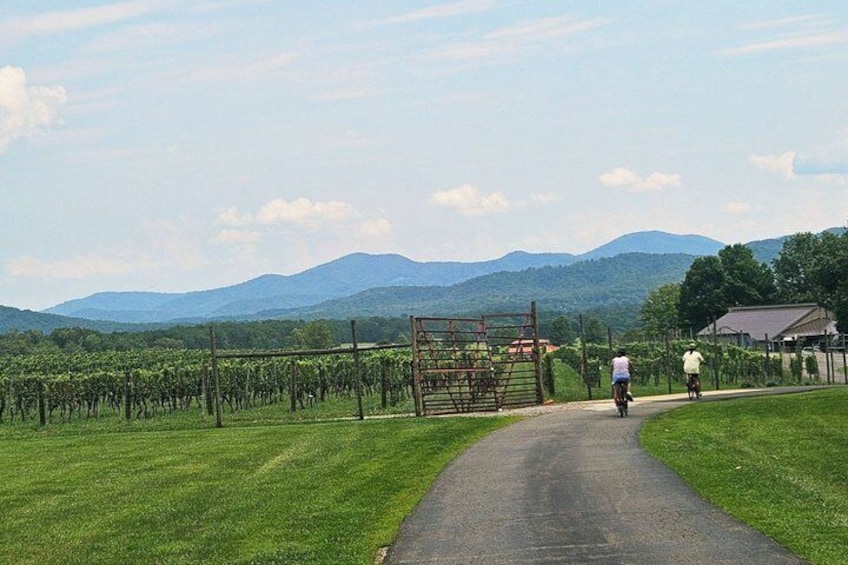 Crozet Virginia Winery and Bike Tour Experience 2