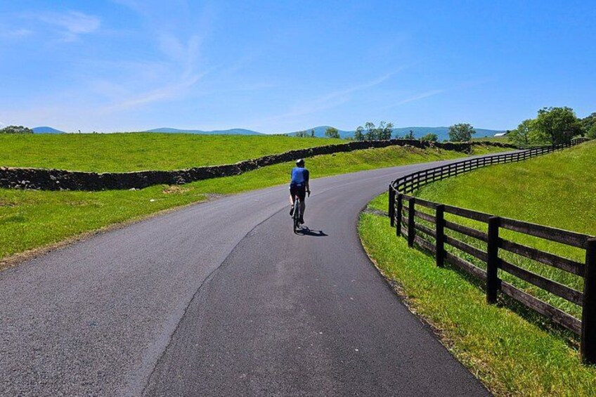 Crozet Virginia Winery and Bike Tour Experience 4