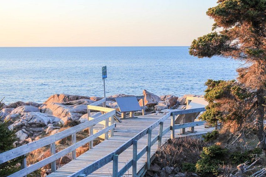 A wooden boardwalk leading to a beach with rocks and pine trees. 5
