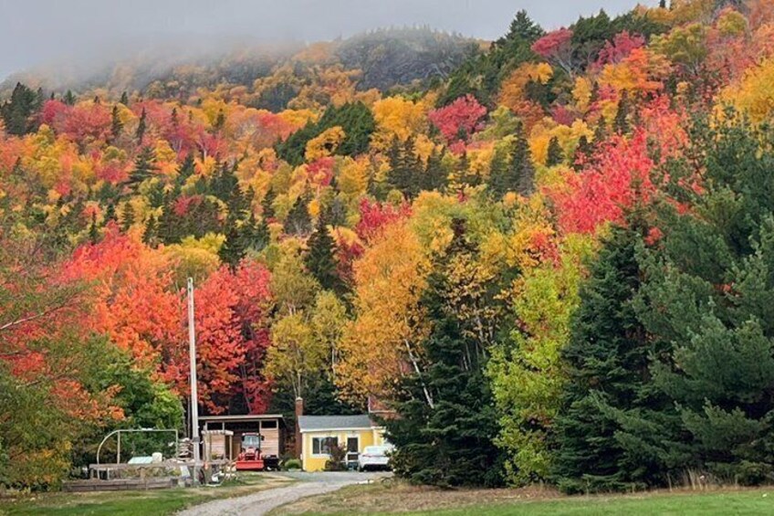 Cabot Trail, Ingonish Sceneic Small Group Tour Cape Breton Island 3
