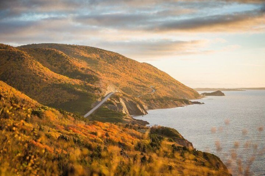 Una strada costiera serpeggia attraverso un paesaggio collinare, con la vegetazione autunnale. 1
