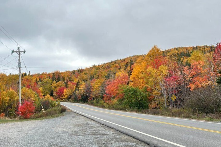 Cabot Trail, Ingonish Sceneic Small Group Tour Cape Breton Island 4