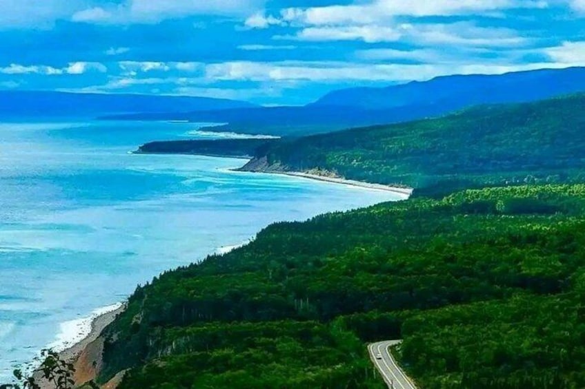 Una strada costiera serpeggia attraverso un paesaggio boscoso, con una spiaggia e l'oceano sullo sfondo. 4