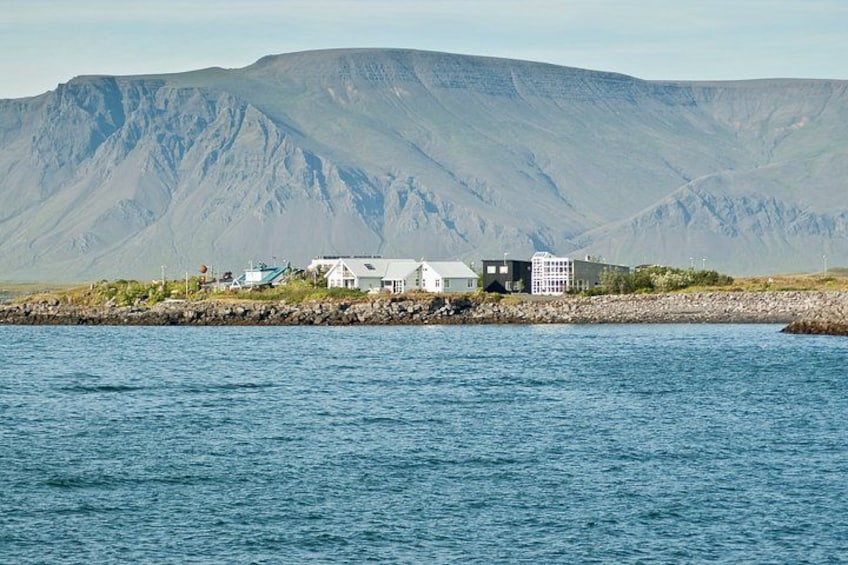 En kystlandsby med bygninger, en klippefyldt kystlinje og et bjerg i baggrunden. 1