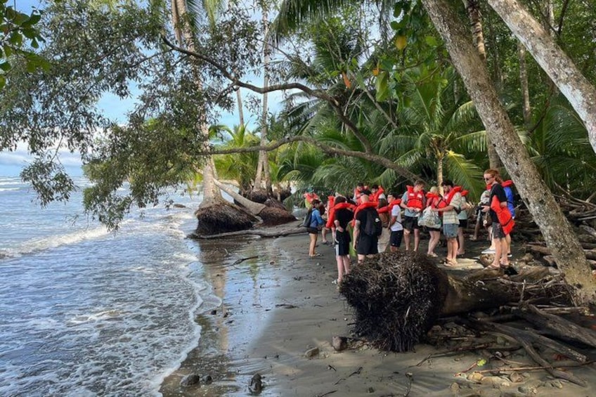 A group of people on a beach with palm trees and ocean waves. 4