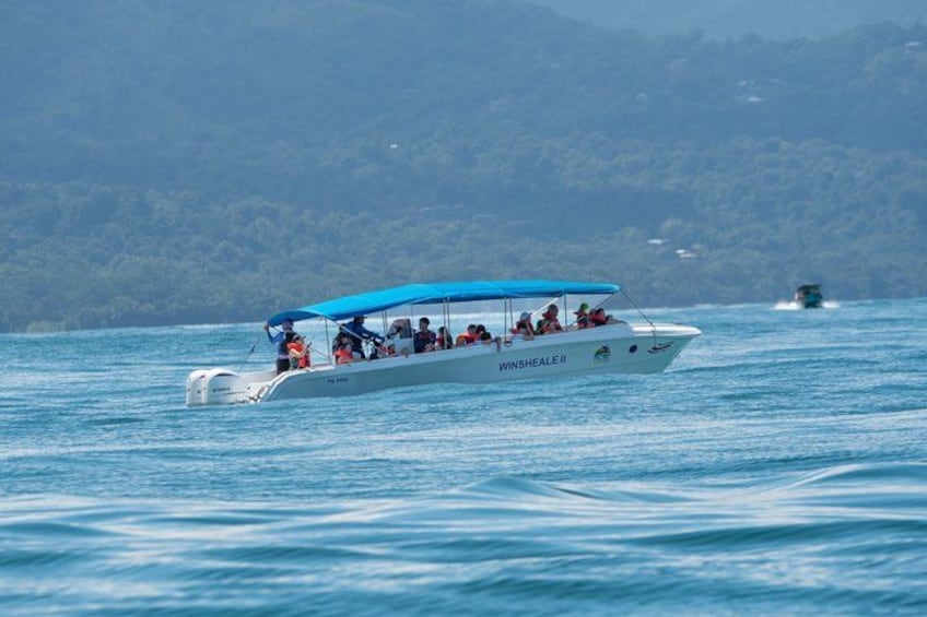 A boat with a blue canopy and the name 'SHEALE' on its side, moving on a body of water with a forested island in the background. 2