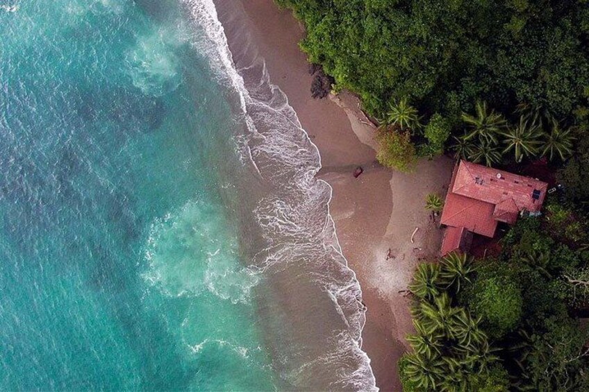 Caño Island Station 4