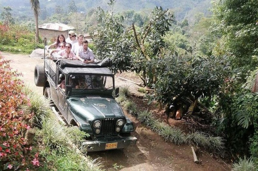 Un jeep vert sur un chemin de terre, entouré d’une végétation luxuriante et d’une petite construction. 2
