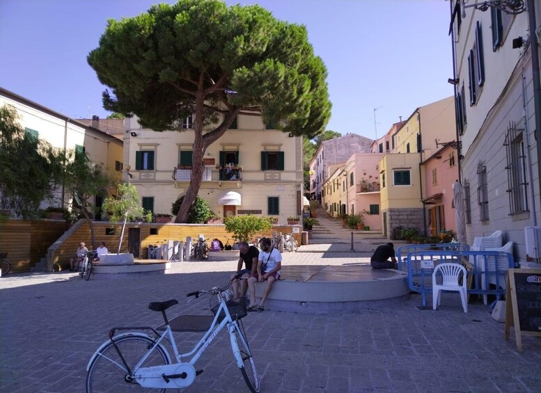 A cobblestone square with a large tree, buildings, and a bicycle. 3