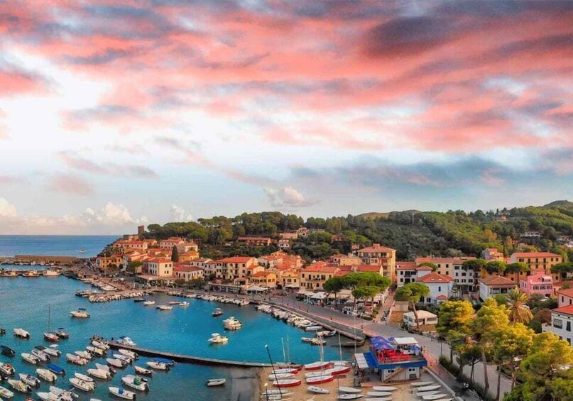 A coastal town with a marina, buildings, and a hilly backdrop. 1