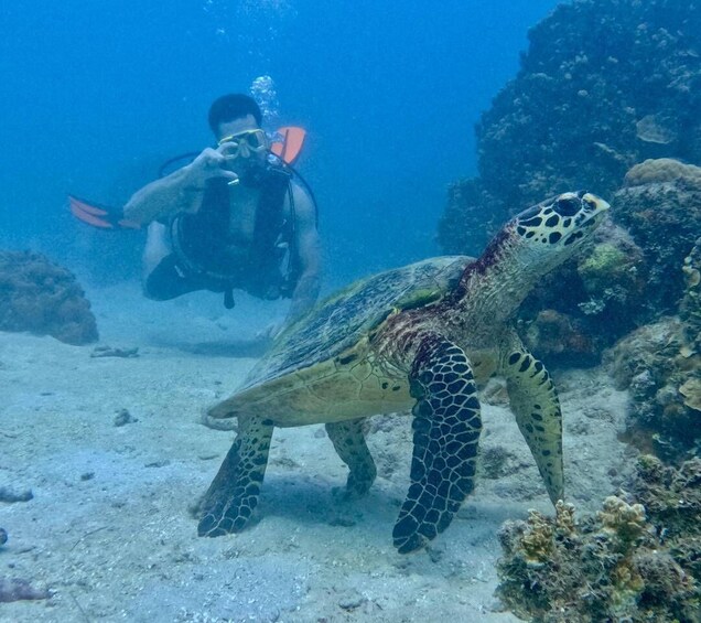 Picture 1 for Activity Guam: Guided Scuba Dive at Dogleg Reef & WWII Sites 5