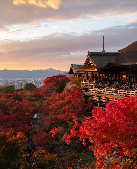 A traditional Japanese building with a wooden structure and a pagoda, surrounded by autumn foliage. 1