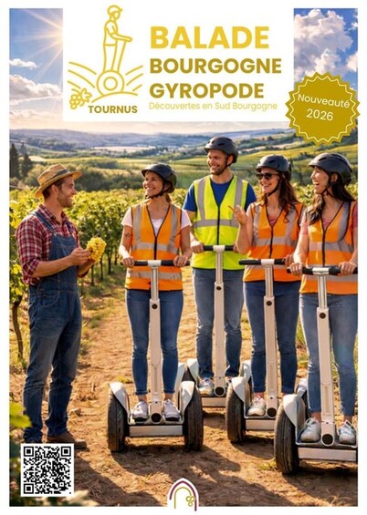 A group of people on Segways in a vineyard. 3