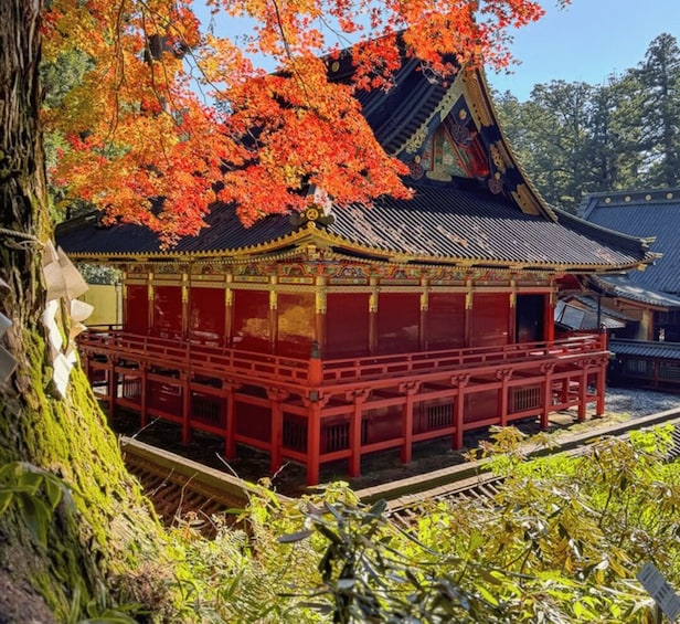 A traditional Japanese building with red walls and a tiled roof, surrounded by autumn foliage. 5