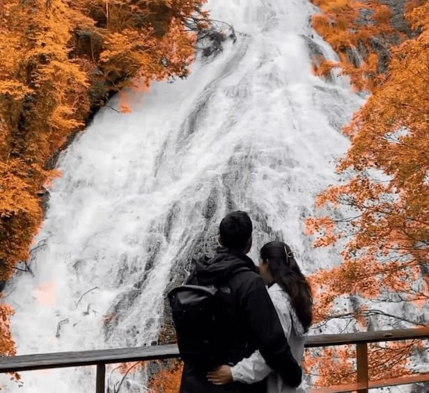 A waterfall with autumn foliage. 1