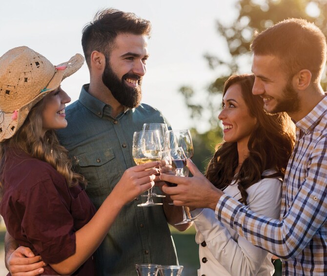 A group of people toasting with wine glasses outdoors. 2