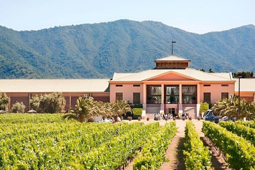 A vineyard with rows of grapevines, a building with a red roof, and mountains in the background. 3