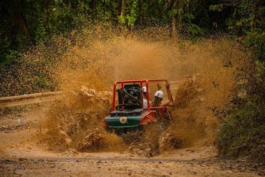 Buggies 4