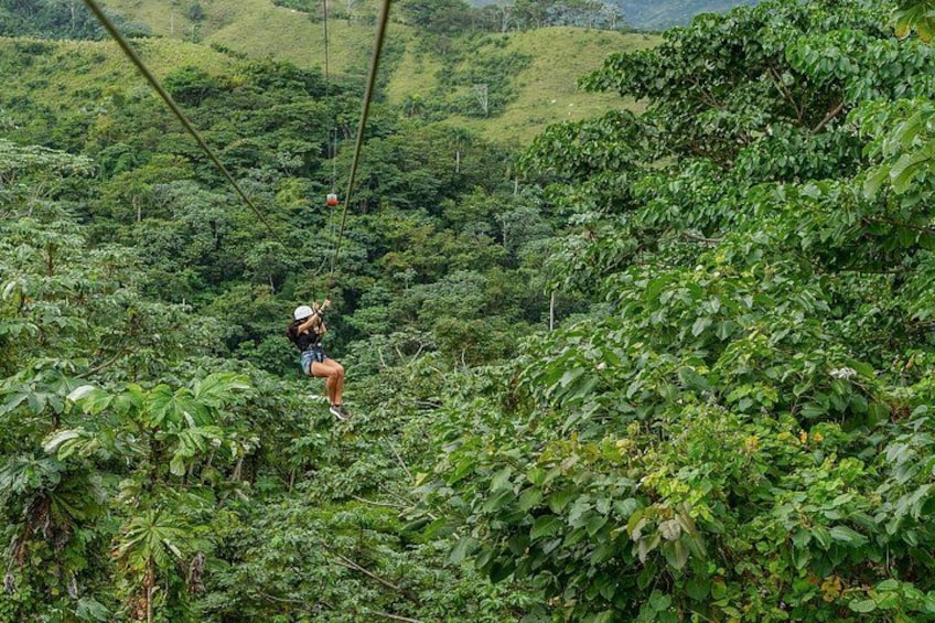 En person som åker på en zipline genom en frodig, grön skog. 2