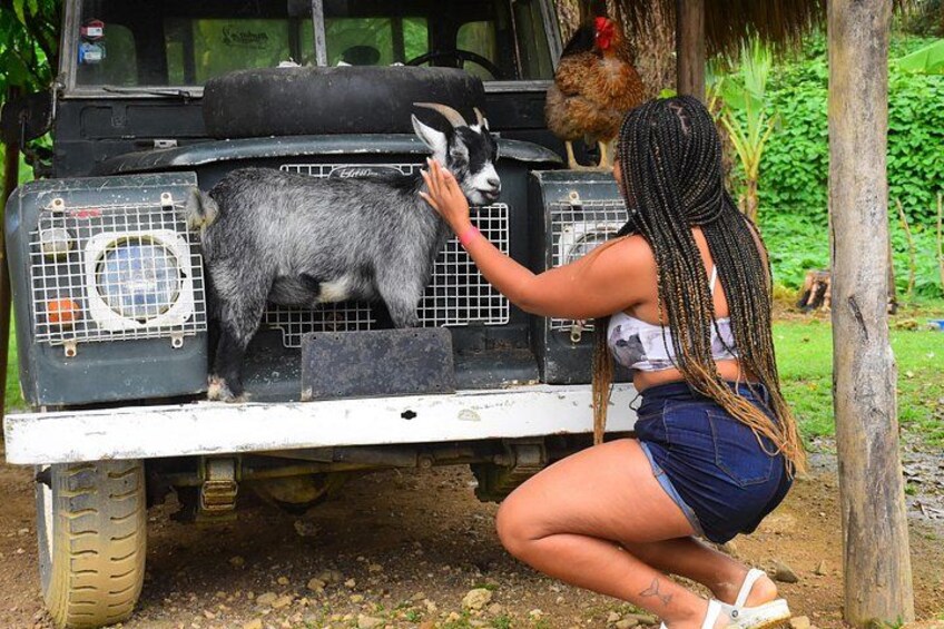 Cultural Safari 5
