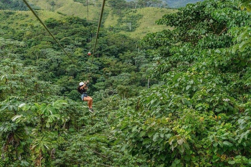 Une personne qui fait de la tyrolienne à travers une forêt luxuriante et verdoyante. 3