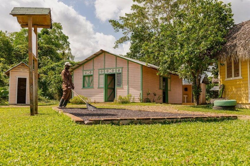 En person rager blade i en græsplæne med en mindre bygning og en bindingsværksbygning i baggrunden. 3
