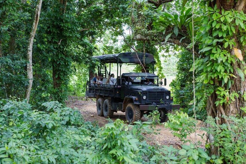 Safari Tour 2
