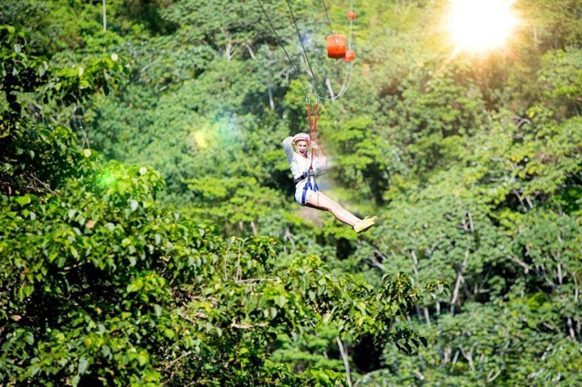 Una persona se balancea en una cuerda a través de un bosque frondoso. 4