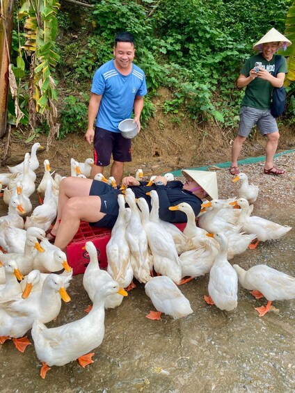 A person lying on a red crate surrounded by white ducks with orange beaks and feet. 4