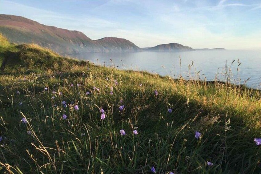 Half day private tours of the Isle of Man with a qualified Driver Guide 2