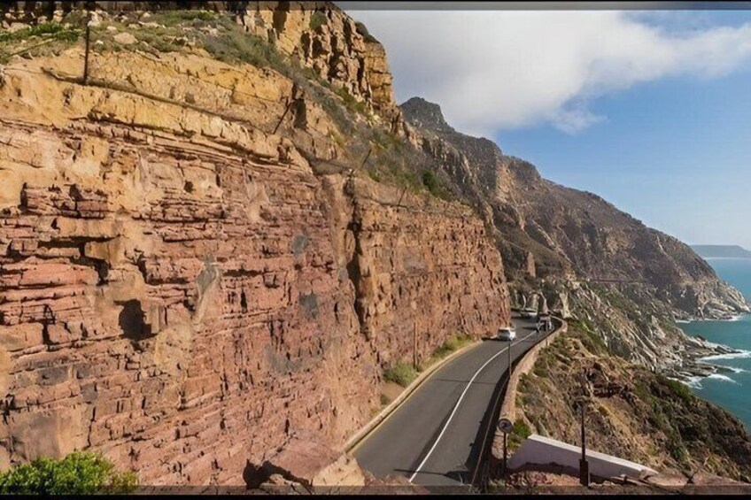 HALFDAY PENGUINS & CAPE OF GOOD HOPE Shared tour 2